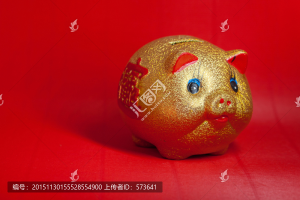 小金豬