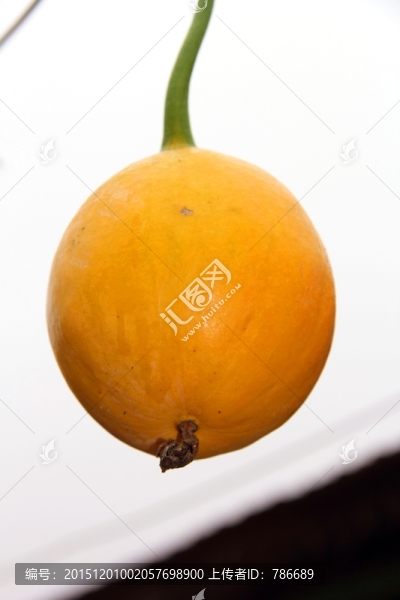 一顆瓜蔞