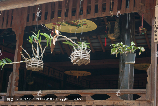 村寨中的花草