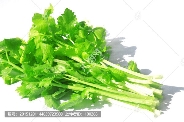 新鮮的芹菜