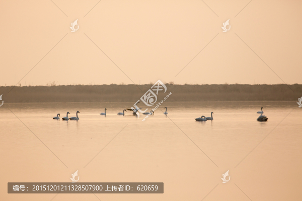 黃河故道夕陽(yáng)
