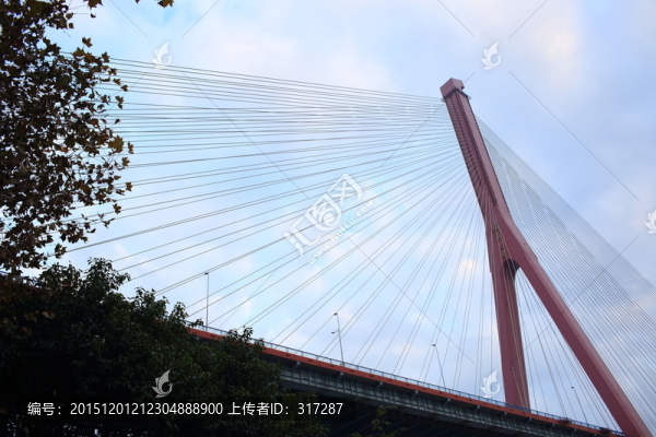 楊浦大橋