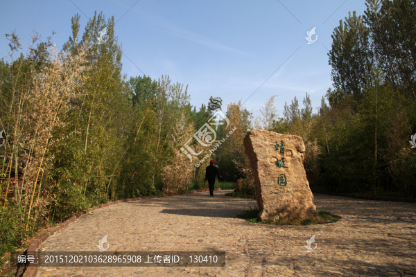 景點(diǎn),蜻蜓園,小廣場