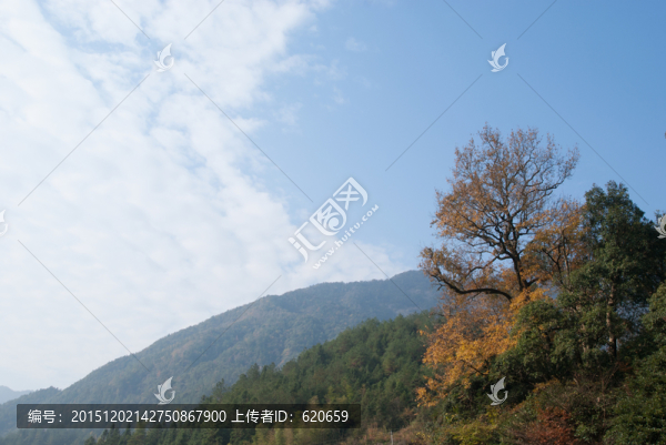 婺源山峰