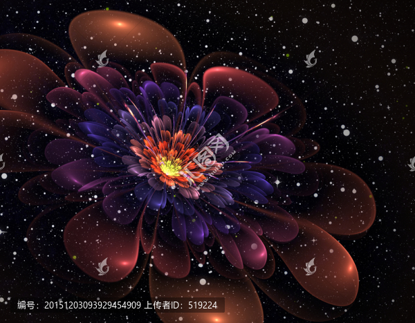 星空,綻放