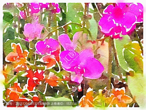 蝴蝶蘭,水彩裝飾印花