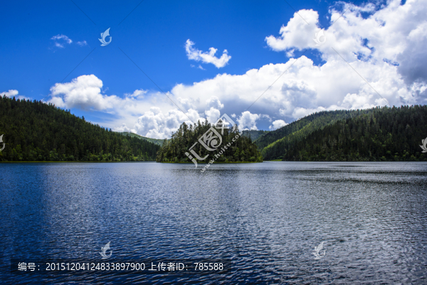 碧塔海樹島