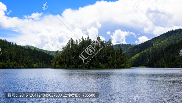 碧塔海樹島