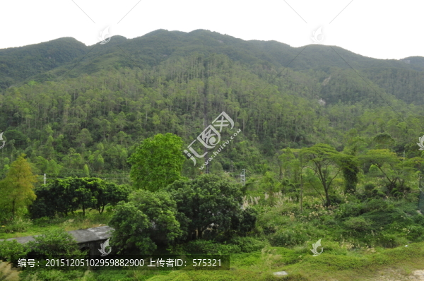 嶺南綠山