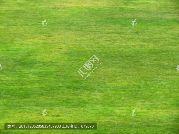 綠草地