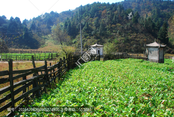 武寧太平山風情