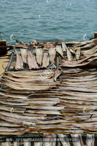 海鮮食材