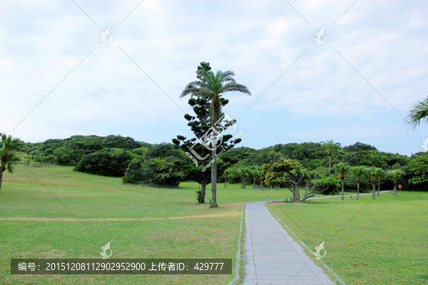 公園風(fēng)景