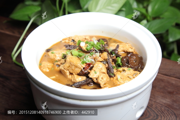 野蘑菇燉豆腐