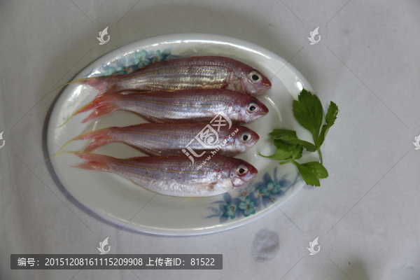 金線魚
