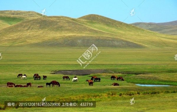 秋季草原馬群牧場(chǎng)
