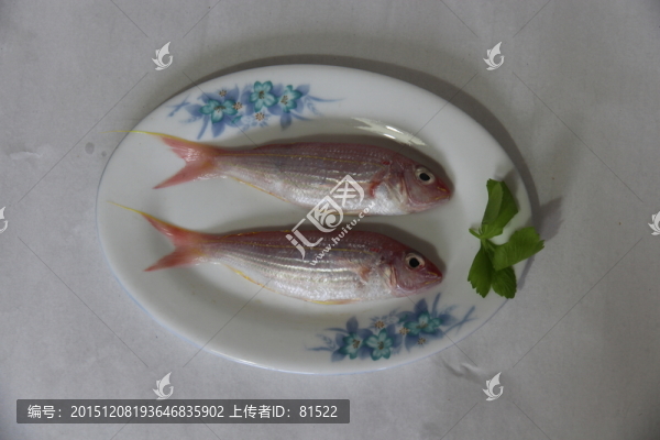 金線魚