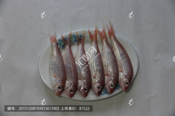 魚(yú)
