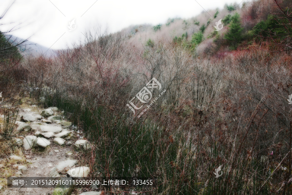 秦嶺