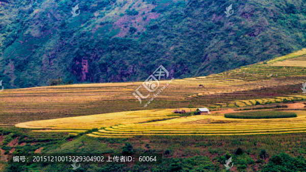 田園美景