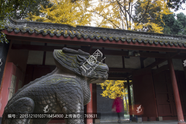 武侯祠衛(wèi)士