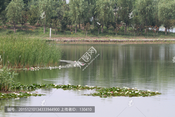 濕地公園