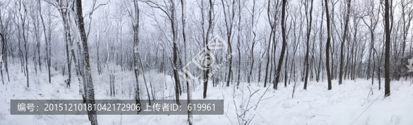 玉樹瓊枝