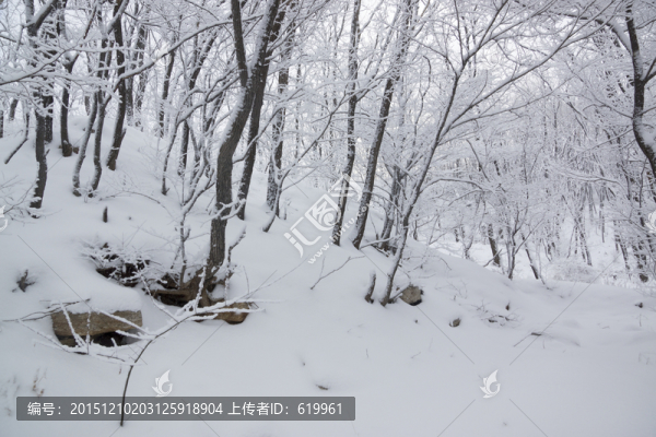 玉樹瓊枝