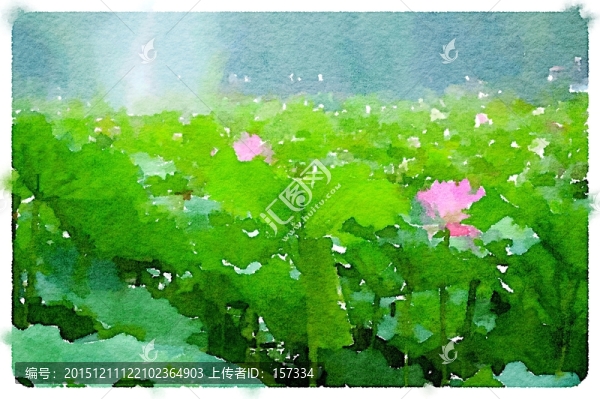 荷花池塘,水彩畫寫生