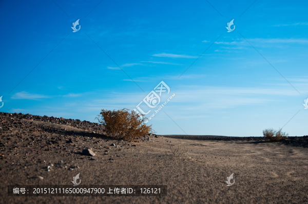 戈壁灘風(fēng)光