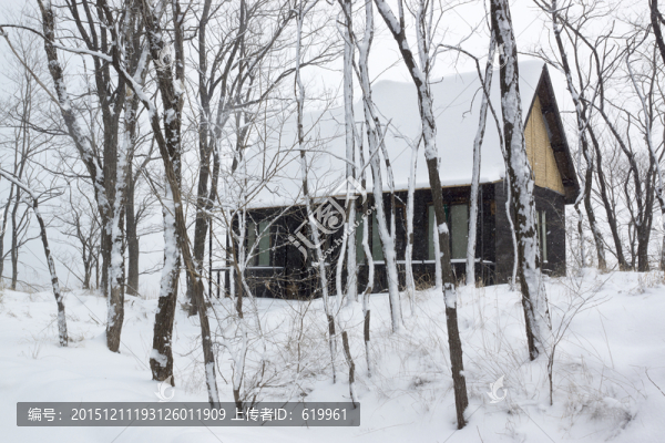 雪景,樹林,木屋