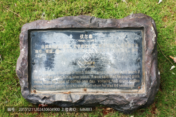 伏爾泰,銅牌