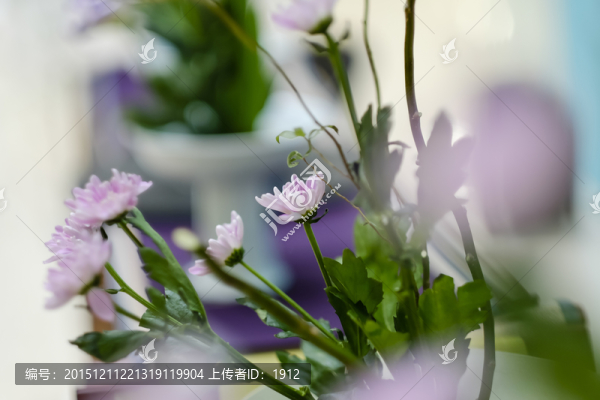 插花