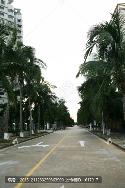 海口風(fēng)光,早晨