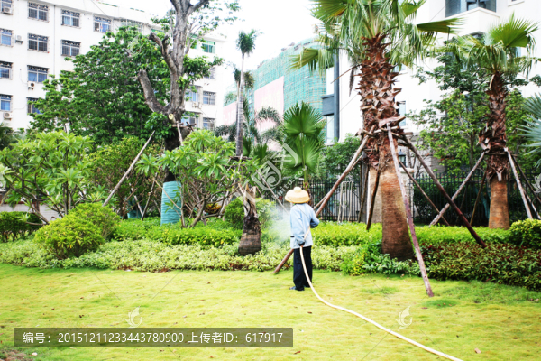 海口風(fēng)光,早晨