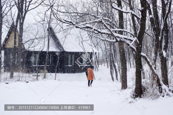仰天山雪