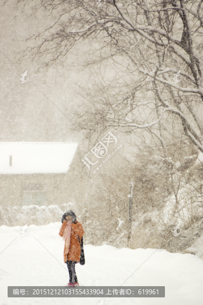 樹林,雪景,美女
