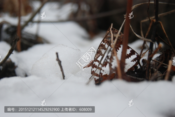 雪景