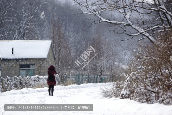 雪景,樹林