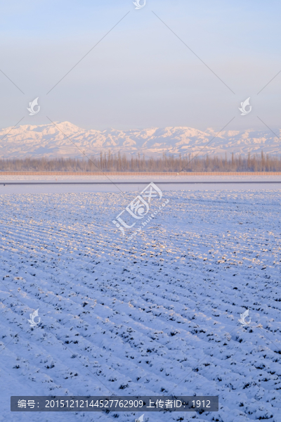 冬雪