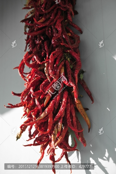 一串紅辣椒