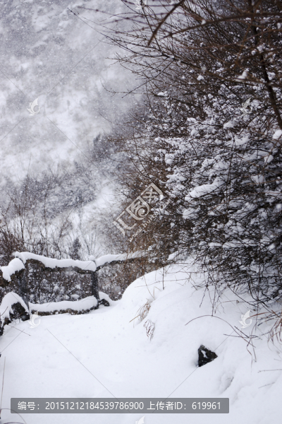 雪景,樹枝