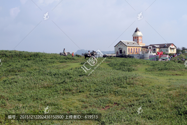 濟州島涉地可支
