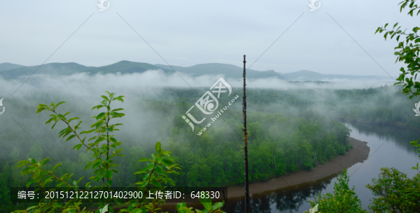 中心島