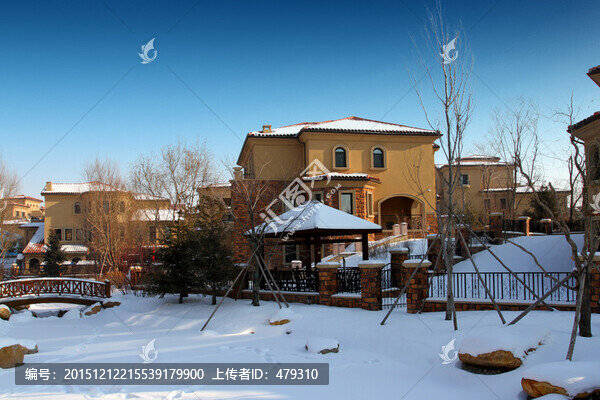 別墅,冬天,雪景