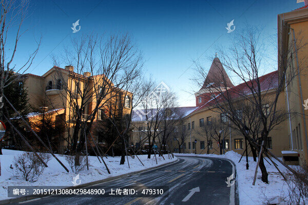 別墅,冬天,雪景
