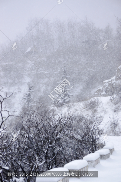 雪中仰天山