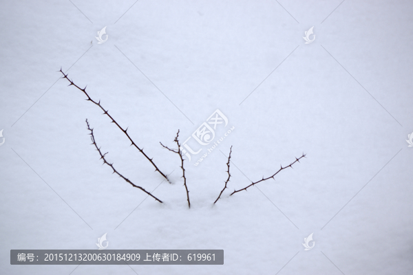 雪地