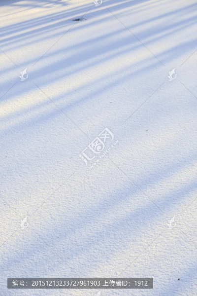 雪地