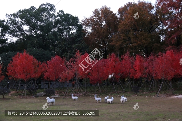 磨山風(fēng)景